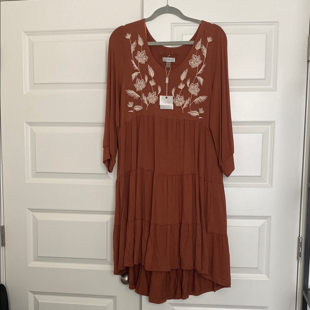 Cupio Terracotta Embroidered Dress